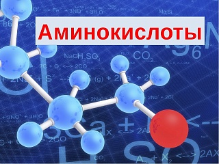 Новый завод по производству аминокислот создадут в Шахтах Новый завод по производству аминокислот создадут в Шахтах
