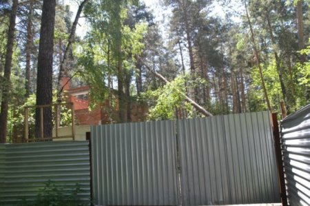 Поступила информация о незаконности передачи земли в Бердском